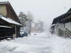 雪なんですサムネイル