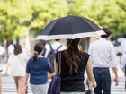 日傘のすすめサムネイル